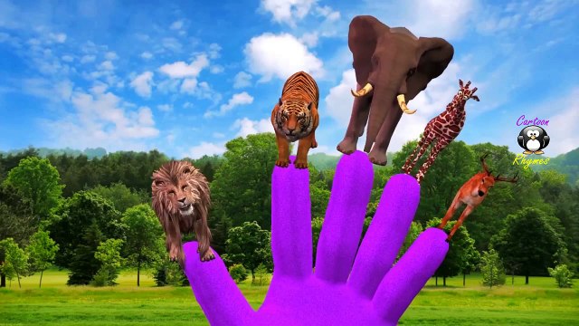 Animals Cartoons Finger Family Nursery Rhymes | Elephant Finger Family Rhymes for Children