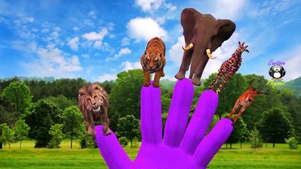 Animals Cartoons Finger Family Nursery Rhymes | Elephant Finger Family Rhymes for Children