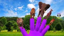 Animals Cartoons Finger Family Nursery Rhymes | Elephant Finger Family Rhymes for Children