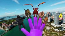 Animals Finger Family Nursery Rhymes For Children | King Kong Finger Family Rhymes