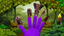 Animals Cartoons Finger Family Nursery Rhymes | Animals Cartoon Children Nursery Rhymes