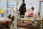 2015 Touch of Class Miniature Horse Show - a Must See!
