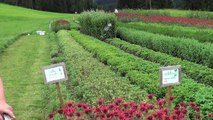 Jardin des Plantes