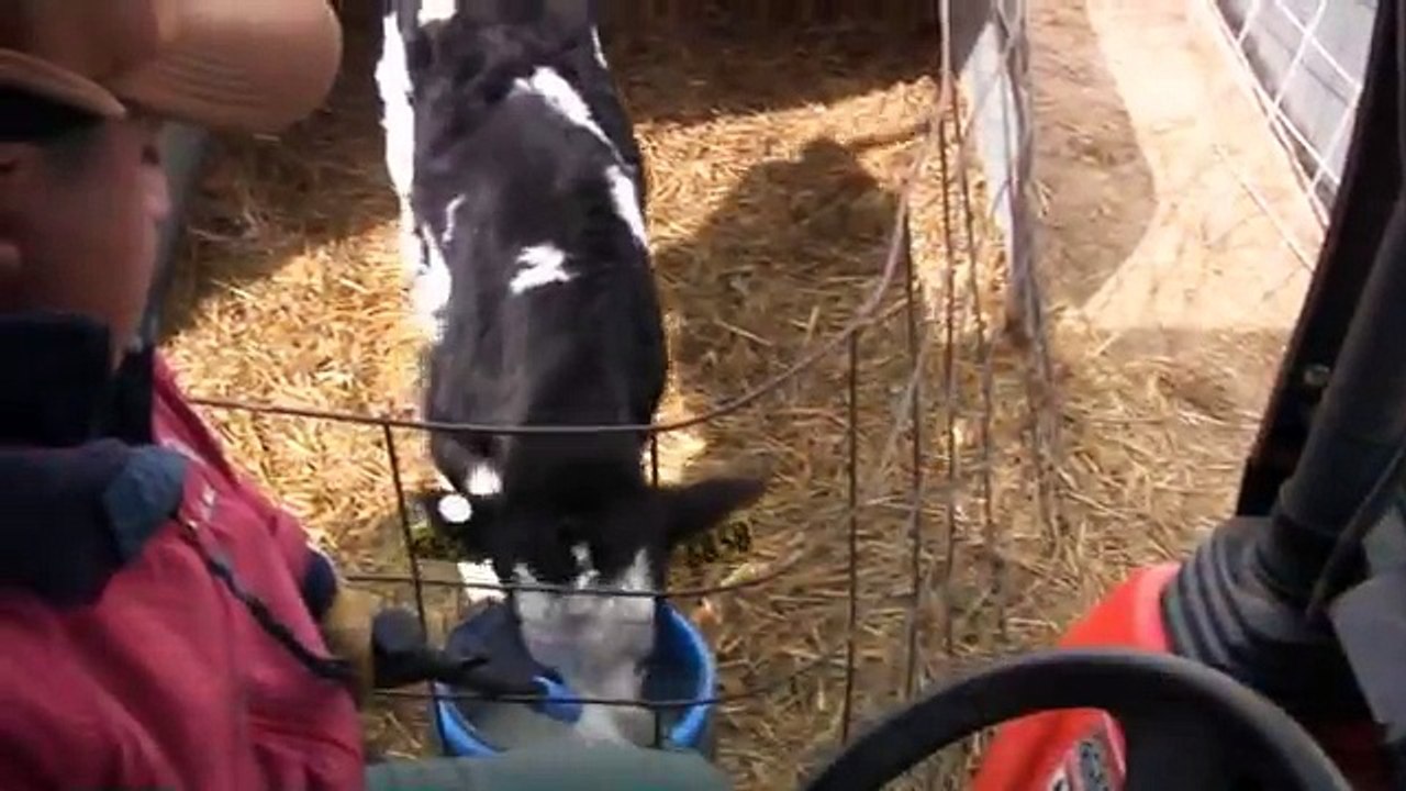 Feed-R-Meter - V2