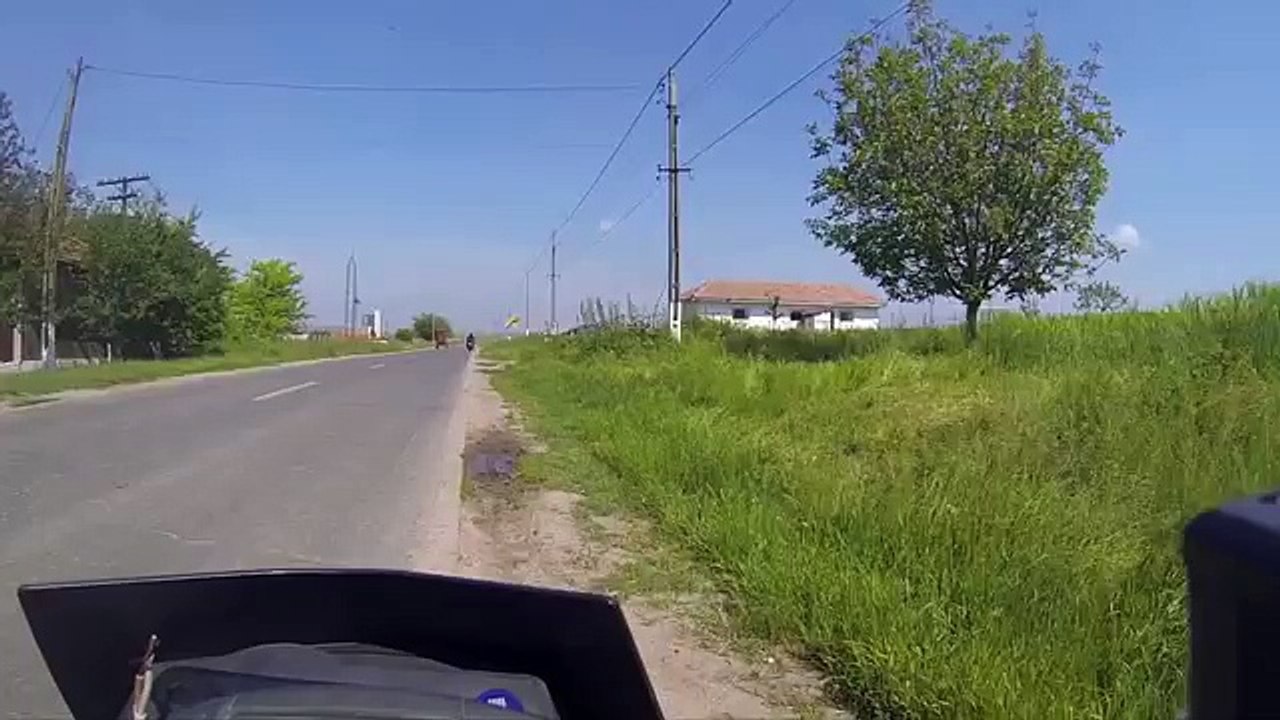 Motocyclists Misses Horse Motorcycle videos