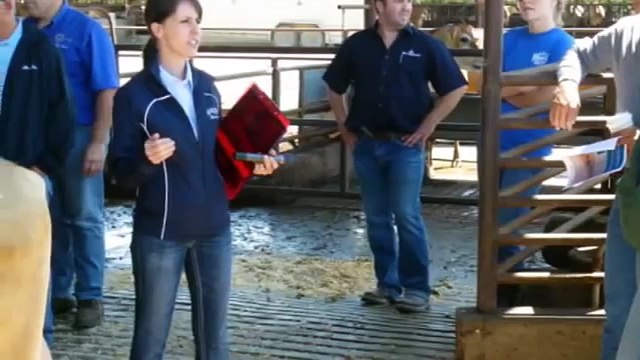 Alta California Jersey Day - June 2012