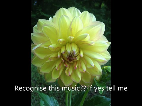 Can anybody recognize this music?