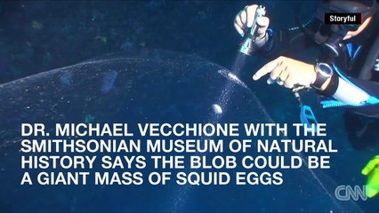 Mysterious giant ocean 'blob' discovered