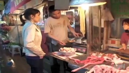 Inside the Cat and Dog Meat Market in China