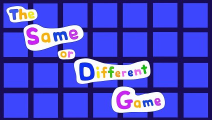 The Same or Different Game 2