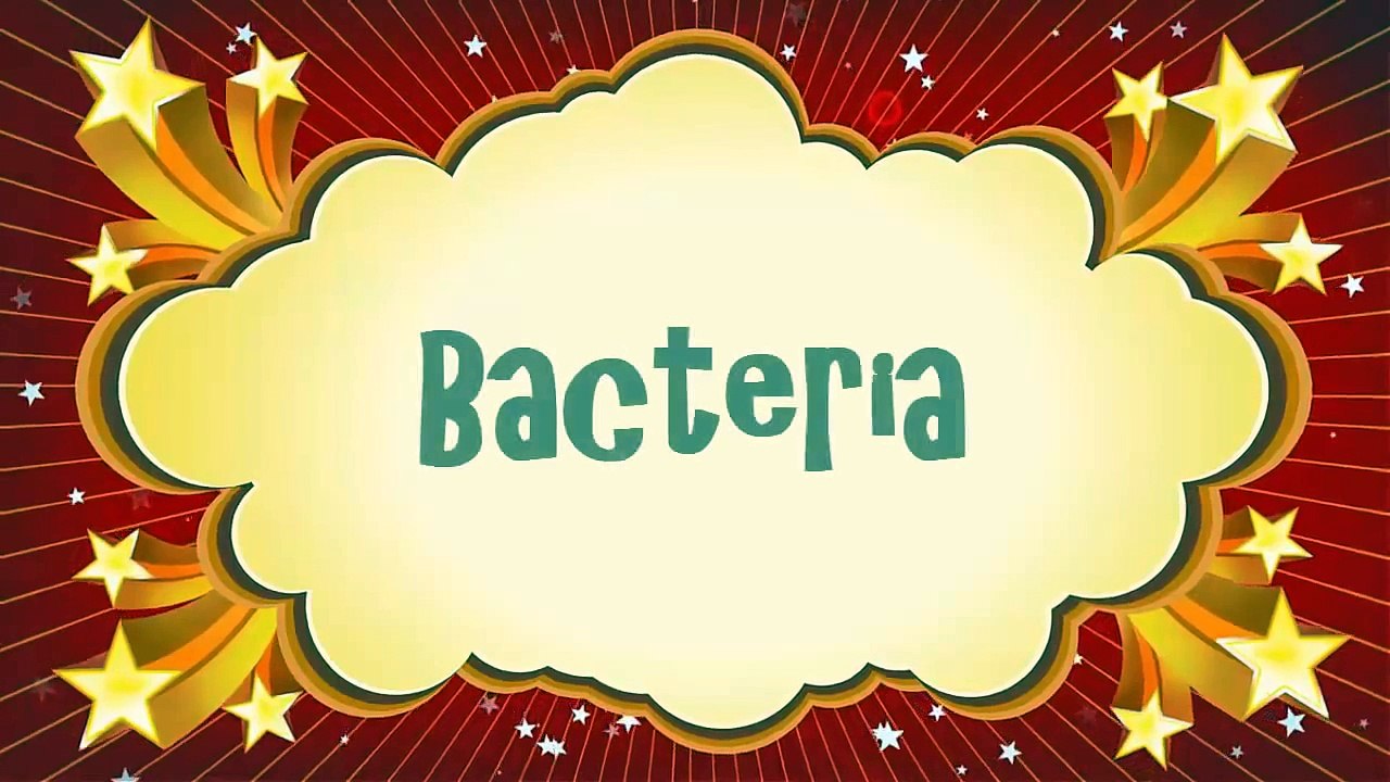 Bacteria: The Good, The Bad, The Kinda Gross