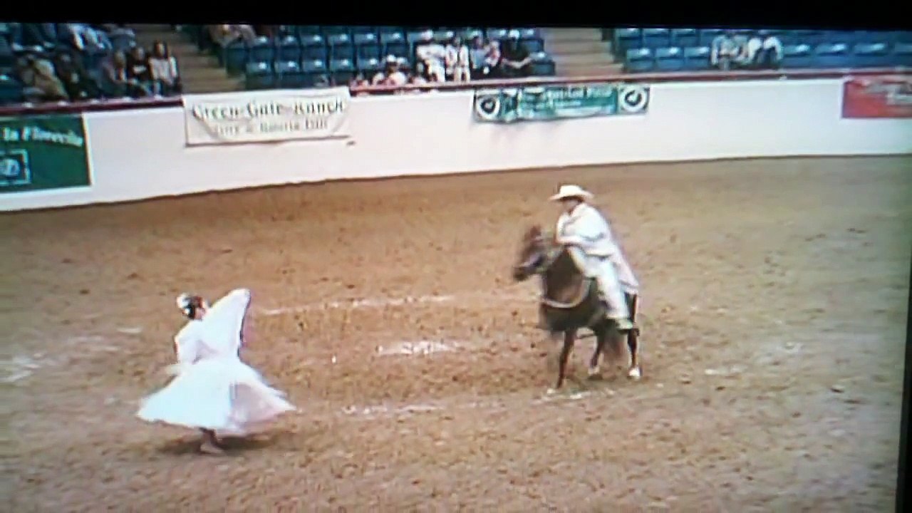 Marinera Norteña con Caballo Peruano de Paso