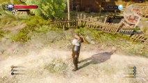 The Witcher 3  Wild Hunt funny glitches