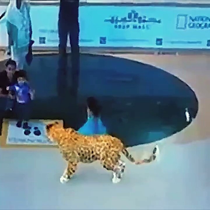 HOLOGRAMS!