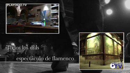 Spot TV Tablao Villa-Rosa Madrid