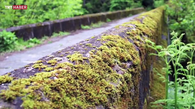 Nefes Alan Topraklar / Doğu Karadeniz
