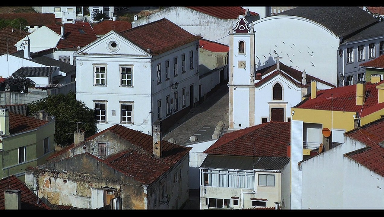 Cofrexport film corporate