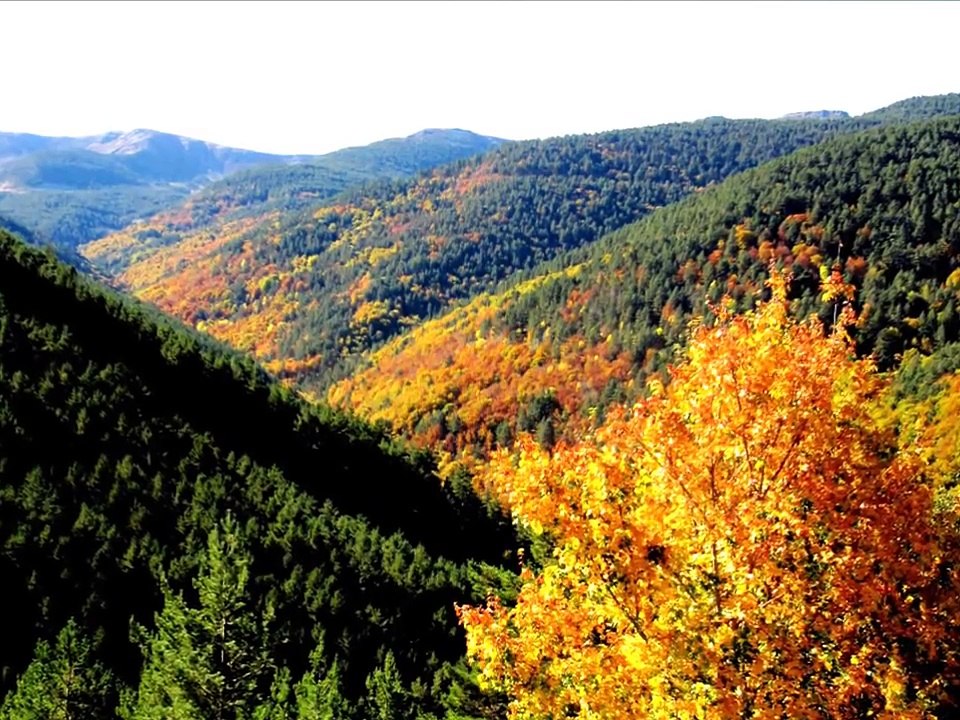 Paisajes de España. La Rioja/ Landscapes of Spain. La Rioja