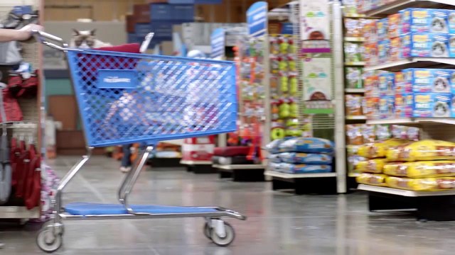 Grumpy Cat Premieres New BuzzFeed Video