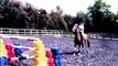 Horse Riding BLOOPERS (falls, tricks and mistakes :)