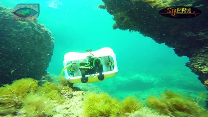 Vues sous-marines animation ROV semaines à thèmes 2015