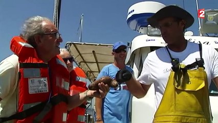 Les attraits du tourisme participatif