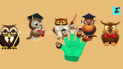 Funny Owl School Teacher Finger Family Nursery Rhyme