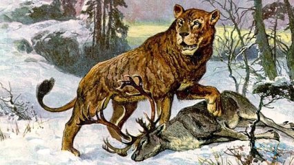 Top 10 Extinct Animals