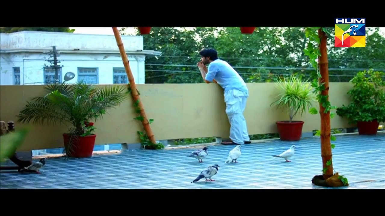 Mohabbat Aag Si Episode 5 - HUM TV Drama 05 Aug 2015