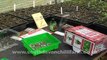 How to grow your own chillies - The chilli grow kit - 1/4