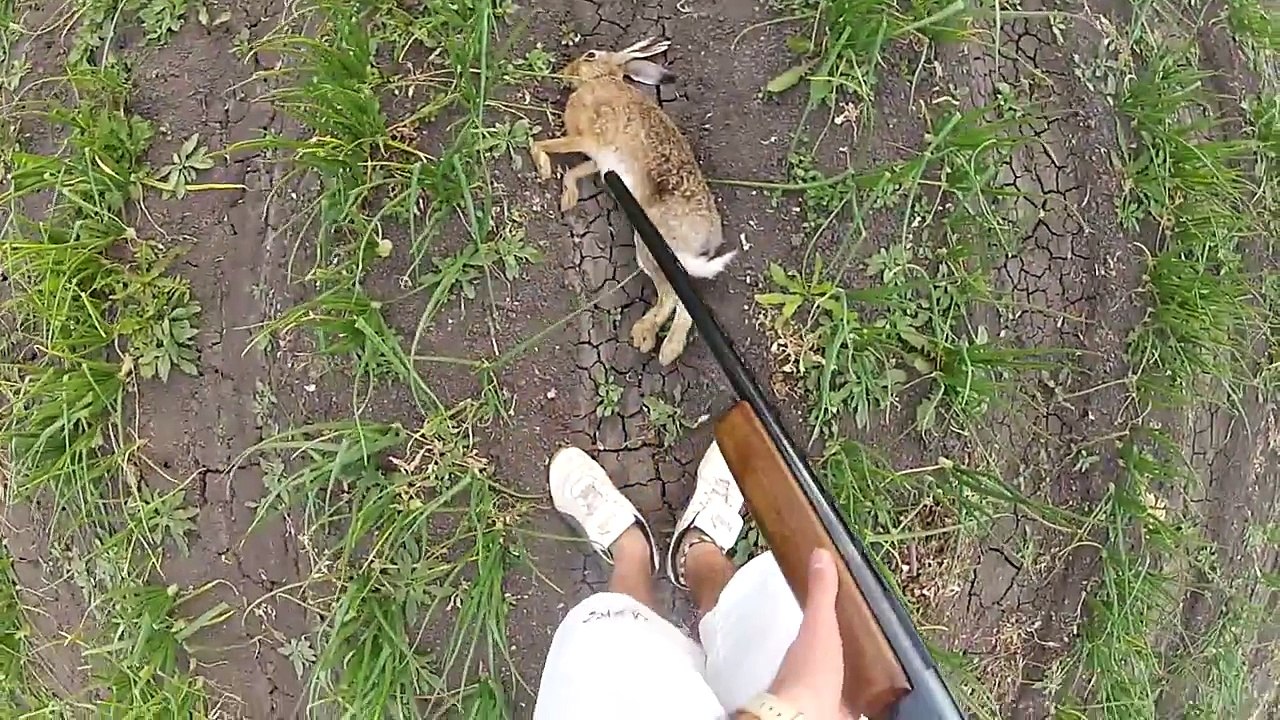 Caceria de liebres con escopeta (en primera persona) GoPro