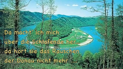 Einst ging ich am Strande der Donau entlang - mit Text