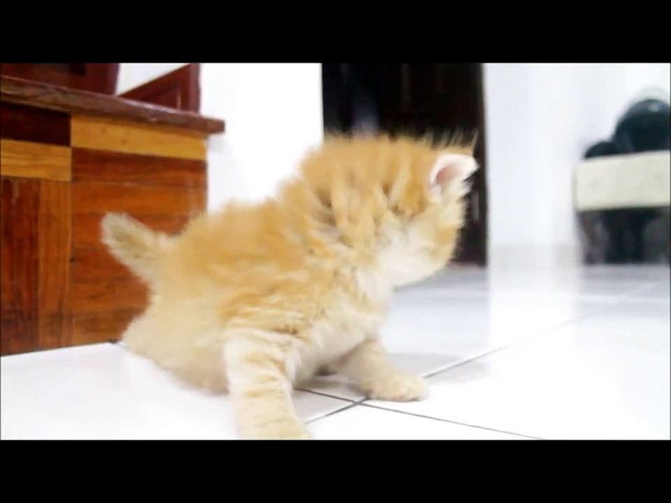 Atan
