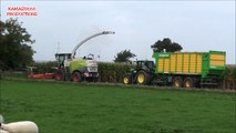 Mais Hakselen 2013 : Egide London in Dalhem met Claas Jaguar 980 en John Deere 7930