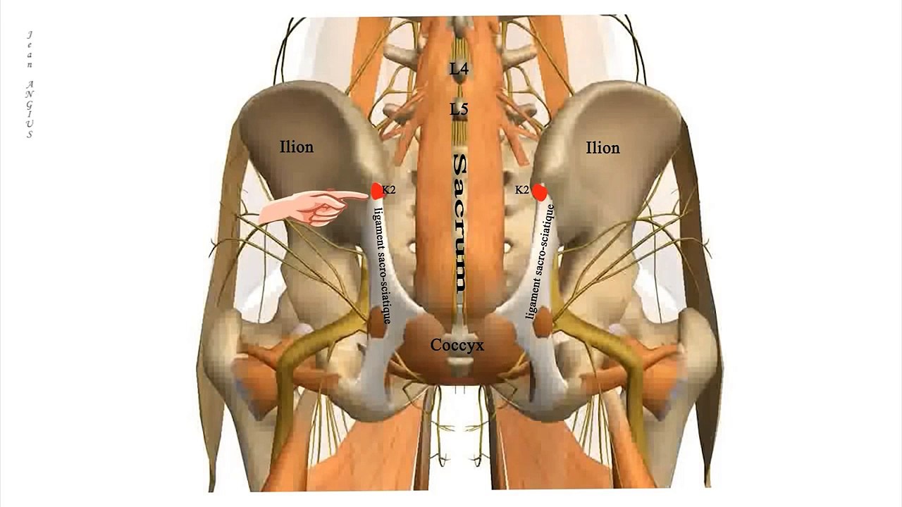 Les points de knap n°2, Comment traiter les douleurs musculaires,