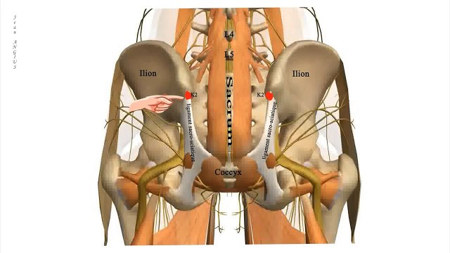 Les points de knap n°2, Comment traiter les douleurs musculaires,