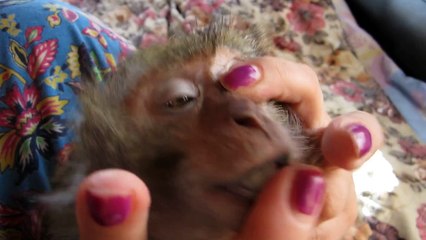 ооочень вкусный фломастер 2.....( Маруся)