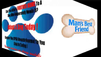 Minnesota Humane Society - Message of Hope