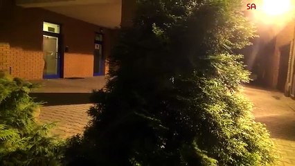 Así disfrazaron a un perro de araña gigante para una broma de cámara escondida