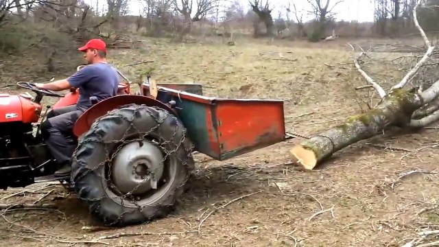 Débardage de bois avec un Massey Ferguson 35