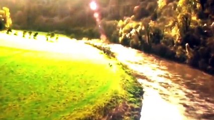 Harry Potter and The Deathly Hallows- Disney/Dreamworks Style Trailer