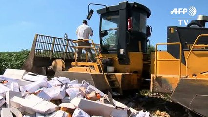 Russia starts destroying smuggled Western food