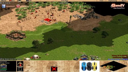 Solo Assyrian -  Bầu Pep vs Bầu Bồ Câu Trắng T1