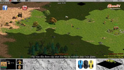 Solo Random, Anh Ba Hưng vs Bồ Câu Trắng T4