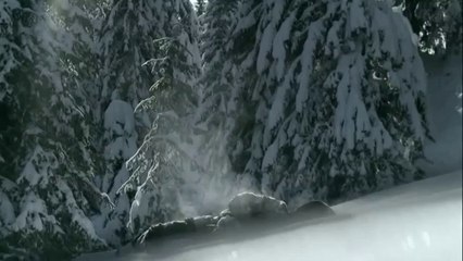 Best Hotel Advertisement ( Creative )