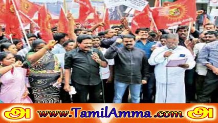 Audio | Seeman 20150805 Interview to Vikatan