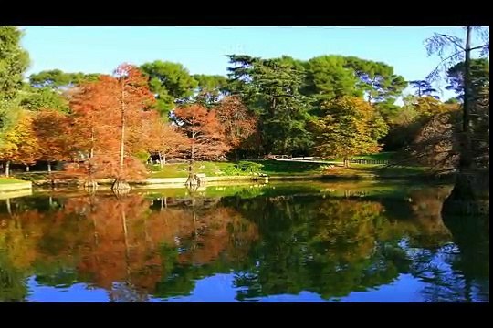 Salvatore Adamo - Sans toi ma mie.