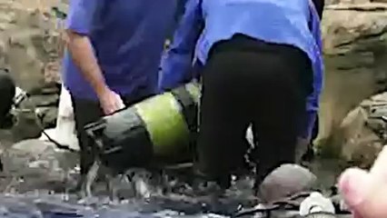 Shark attack caught on video - GRAPHIC FOOTAGE