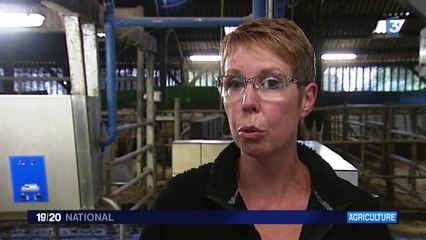 Crise du lait : les éleveurs trompés ?