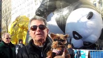 Schmitty The Weather Dog: Kung Fu Panda At Macy's Day Parade